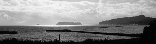 知林ケ島の風景